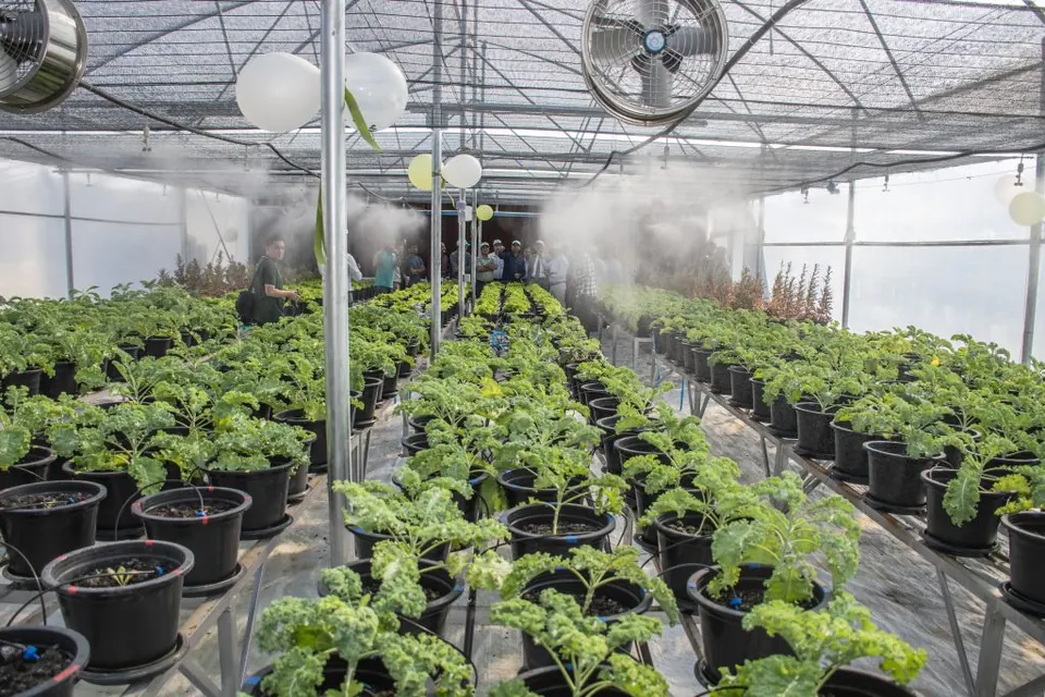 Soil & crop intelligence